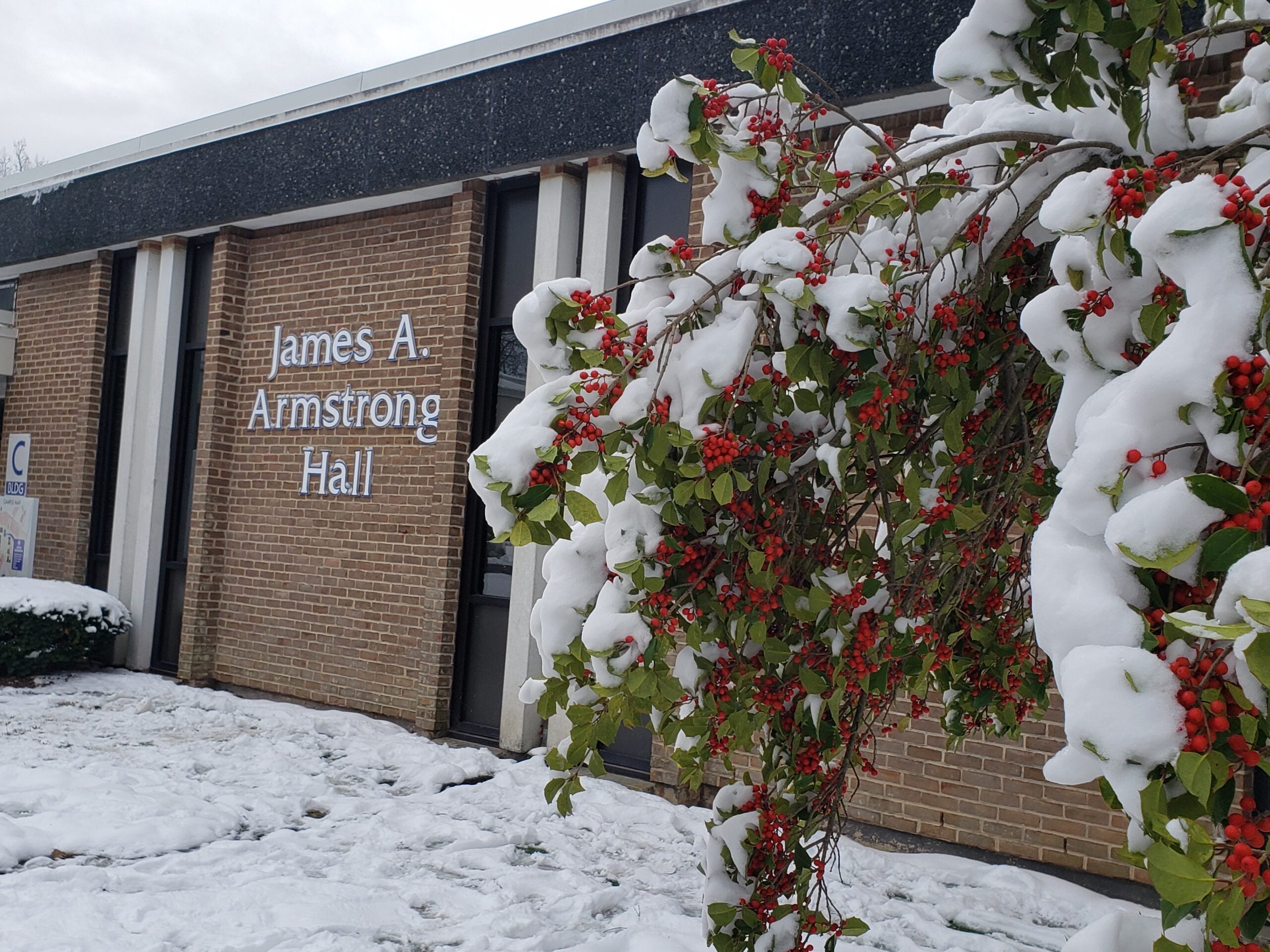 Armstrong Hall with snow covered holly