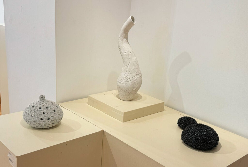 Three ceramic pieces from Anna Westfall's gallery exhibit